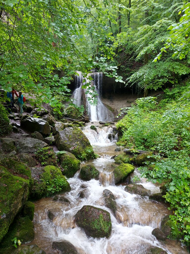 Sommerausflüge